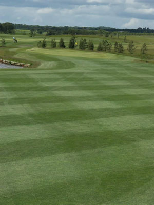 Golf Course Fertilizer