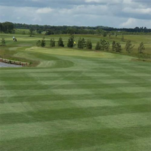 Golf course fertilizer